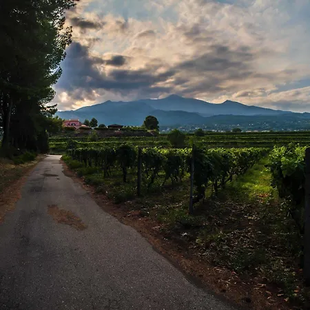 Tenuta San Michele