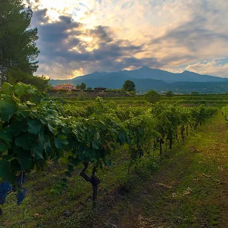 Tenuta San Michele Farm stay