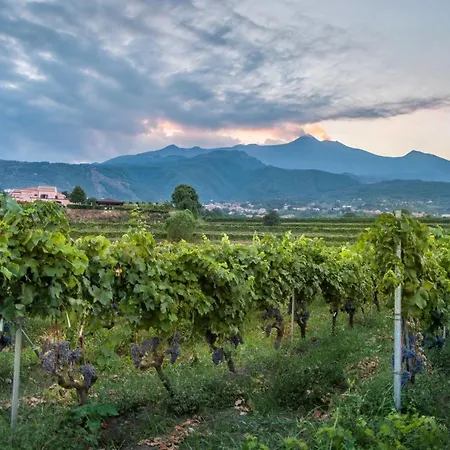 Tenuta San Michele * Santa Venerina
