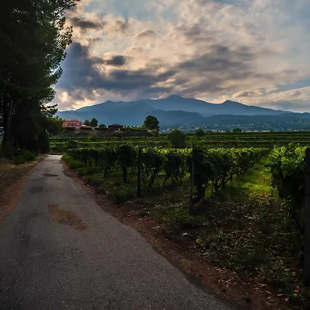 Tenuta San Michele * Santa Venerina