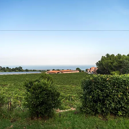 Tenuta San Michele *